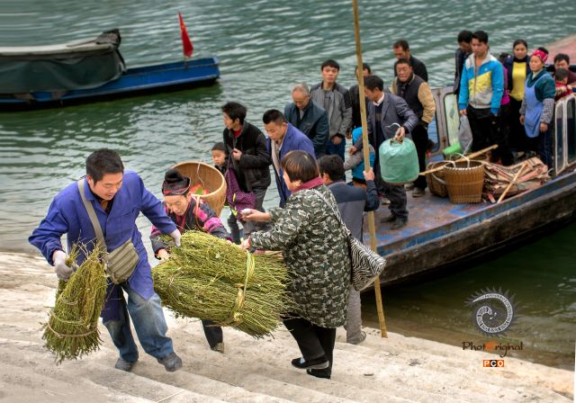 《抢码头》