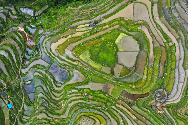 彩色梯田