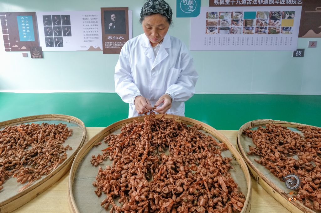 石斛产业路子宽
