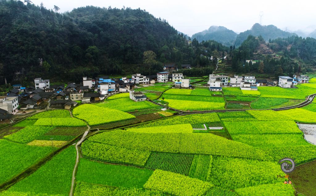 美丽乡村入画来