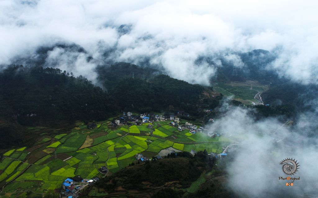 美丽乡村入画来