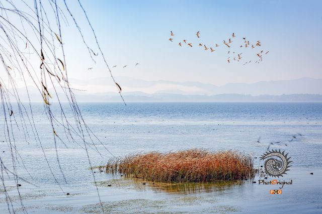 生态草海