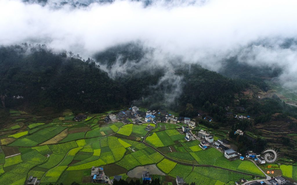 美丽乡村入画来