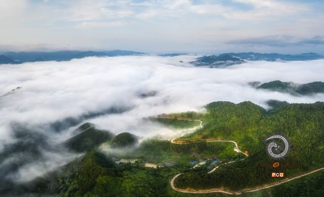 《云深不知处》