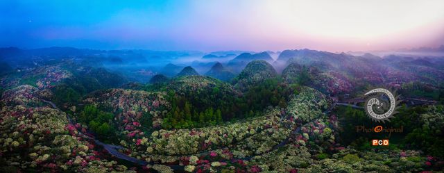 毕节市黔西市百里杜鹃景区