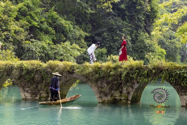 桥上赏美景 桥下护美景