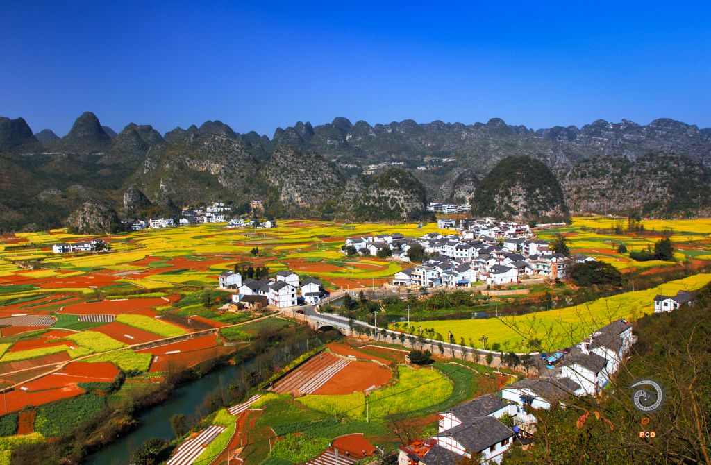彩色家园