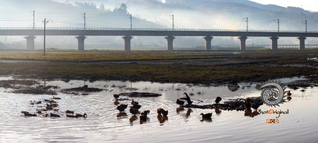 盘州东湖湿地公园上的铁路桥