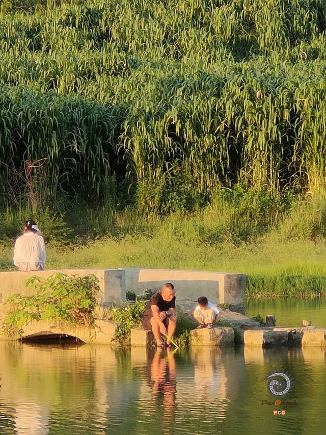 查白桥——与父亲的记忆