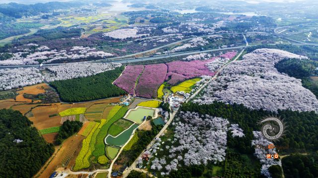 公路上的花海世界