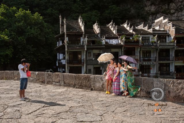 古桥丽影
