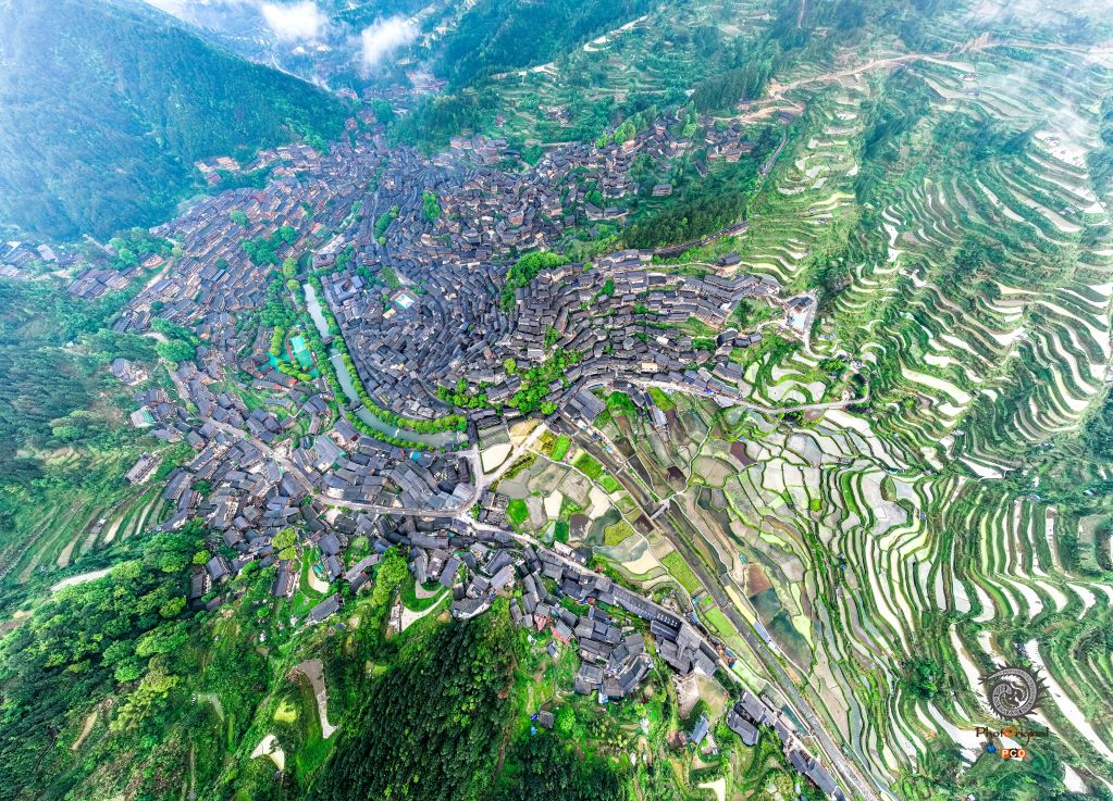 《中国苗都，生态家园》