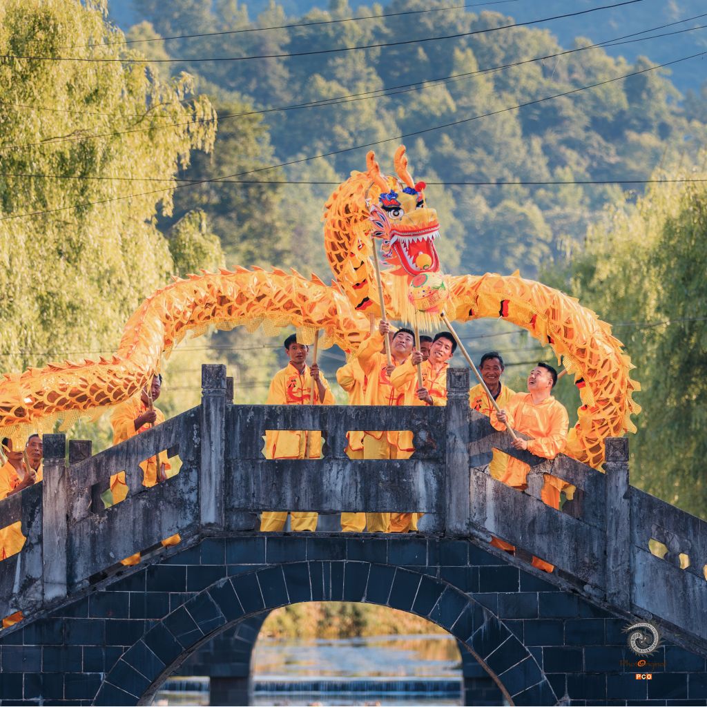 遵义凤岗蜂岩巡检司土家脚盆龙（非遗）
