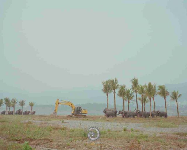 我的Mekong--问江 中游段
