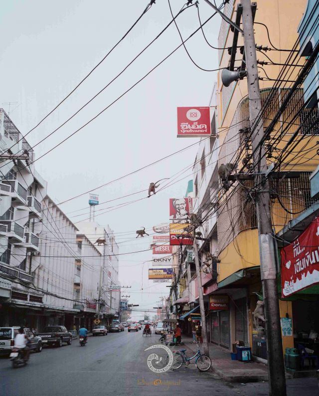 我的Mekong--问江 下游