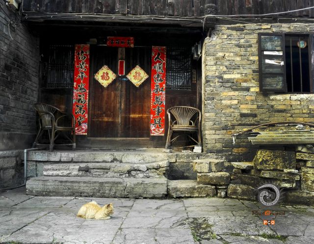 午后时光