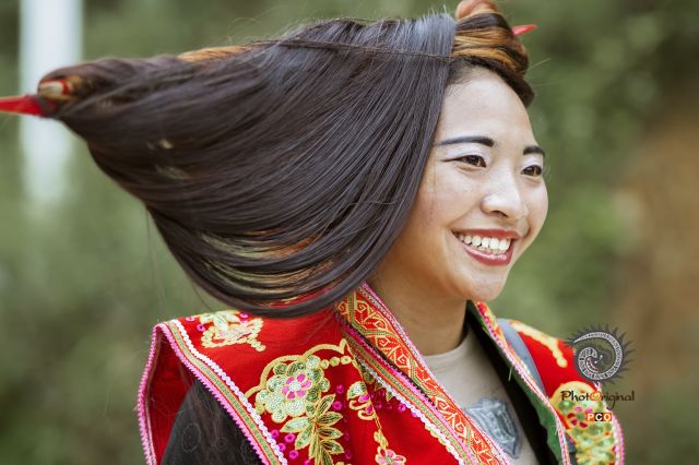 古董苗发式