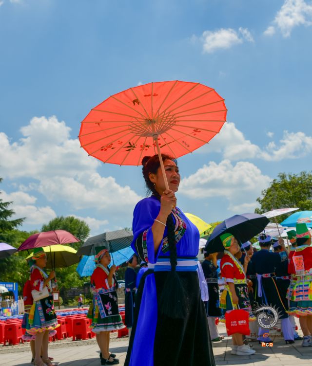 展望