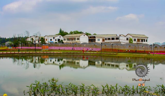 美丽家园