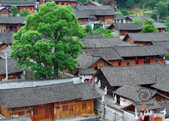《茶园山村》