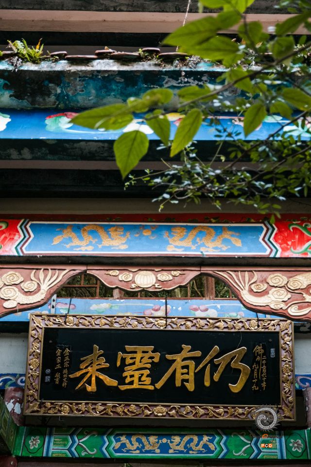 《云鹫寺》