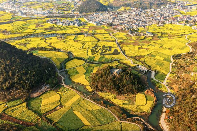 《鲍家屯·稻田风光》