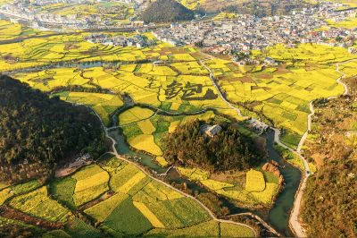 《鲍家屯·稻田风光》