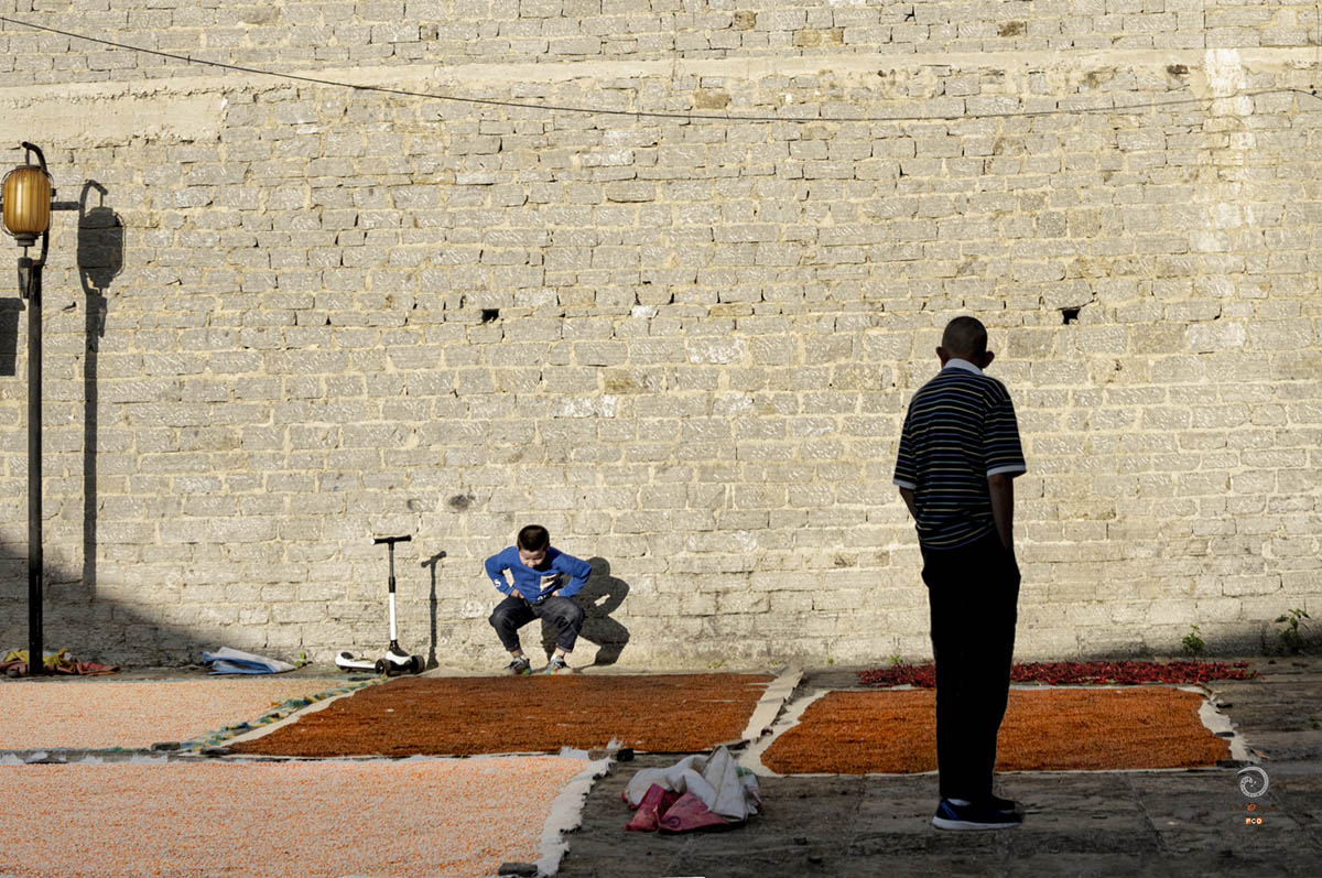 0094-10-屯堡生机  陈鸣 139850177861200.jpg