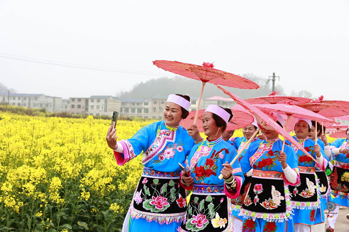 0039- 《屯堡风情游客醉  田园山水菜花香》（组图）刘显恒  18008538459_R0A90141200.jpg