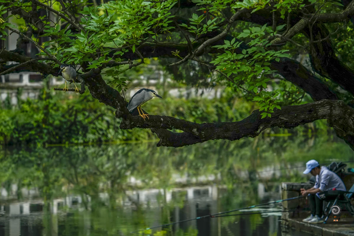 0098-3-3生态贵州     宋剑193851767291200.jpg