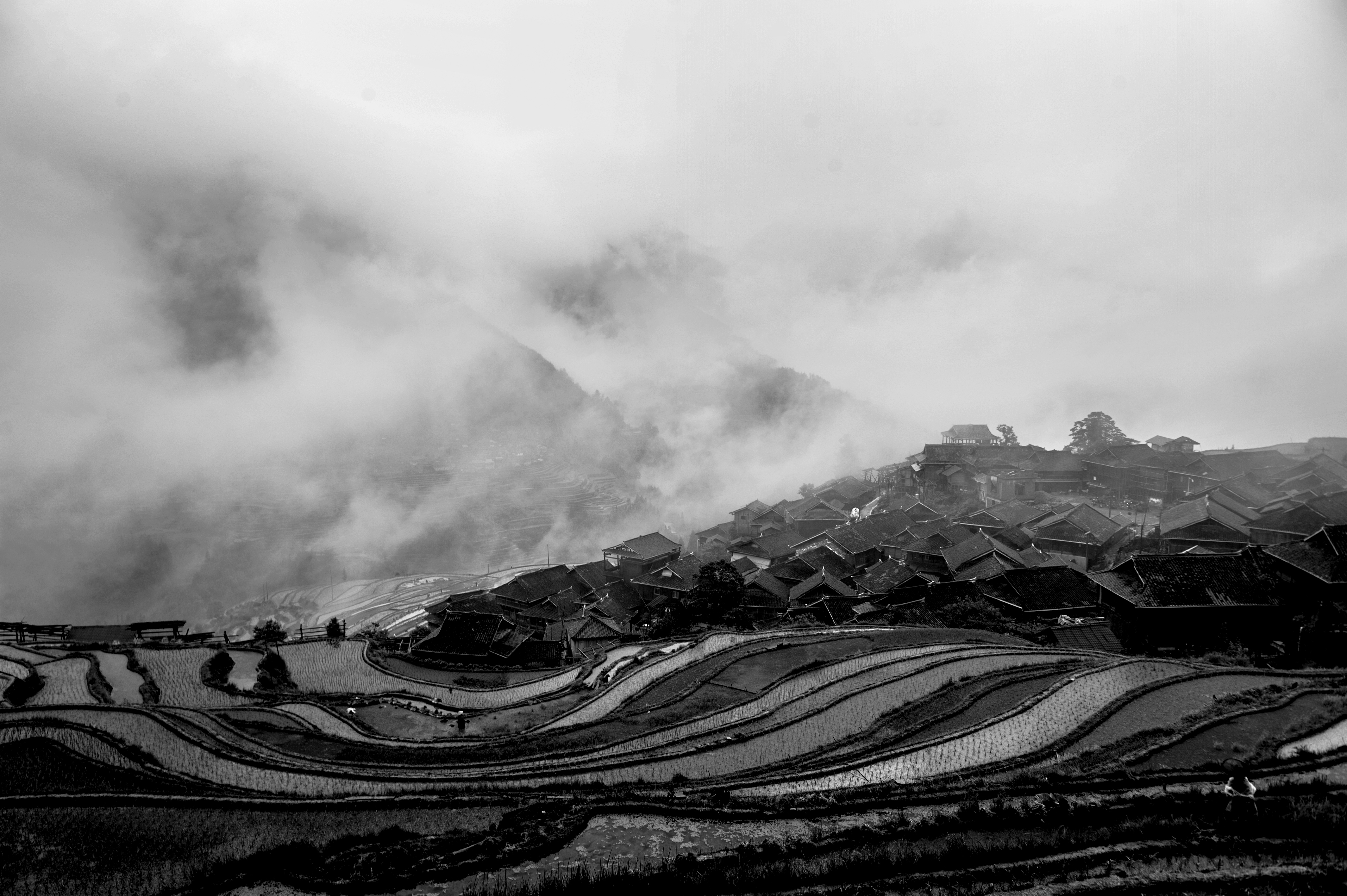 DSC_0537春耕