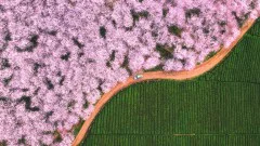 2020多彩贵州·第十三届 中国原生态国际摄影大展 · 原生态官网客服 的图集