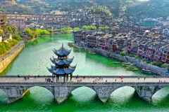 2025多彩贵州·第十八届中国原生态国际摄影大展 · 巴西铁 的图集