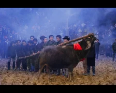 《苗族招龙仪式》