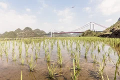 2023多彩贵州·第十六届中国原生态国际摄影大展 · 无极 的图集