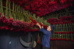 多彩贵州·第十四届中国原生态国际摄影大展 · 吴江平 的图集