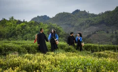 多彩贵州·第十四届中国原生态国际摄影大展 · 难懂的光影 的图集