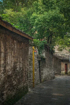 2025多彩贵州·第十八届中国原生态国际摄影大展 · 曹杨牧语 的图集
