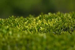 多彩贵州·第十四届中国原生态国际摄影大展 · 光头果果 的图集