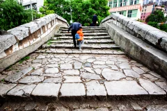 2023多彩贵州·第十六届中国原生态国际摄影大展 · 朱进 的图集
