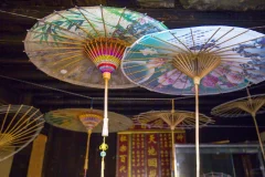 2025多彩贵州·第十八届中国原生态国际摄影大展 · 朱进 的图集