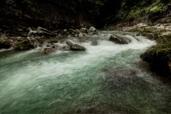 多彩贵州·第十四届中国原生态国际摄影大展 · anhong0213 的图集