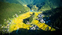 多彩贵州·第十四届中国原生态国际摄影大展 · 菲哥 的图集