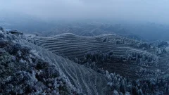 多彩贵州·第十四届中国原生态国际摄影大展 · 流浪枫叶 的图集