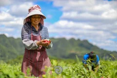 2024多彩贵州·第十七届中国原生态国际摄影大展展览 · 摄影大展官方客服 的图集