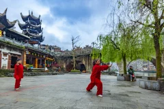 2023多彩贵州·第十六届中国原生态国际摄影大展 · 艺圃花匠 的图集