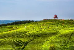 多彩贵州·第十四届中国原生态国际摄影大展 · 凉戈 的图集