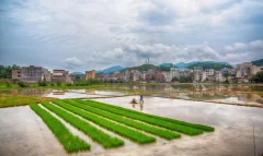 多彩贵州·第十四届中国原生态国际摄影大展 · 雨迹 的图集