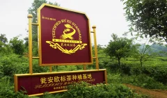 多彩贵州·第十四届中国原生态国际摄影大展 · 大文 的图集