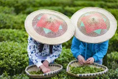 多彩贵州·第十四届中国原生态国际摄影大展 · 朱进 的图集